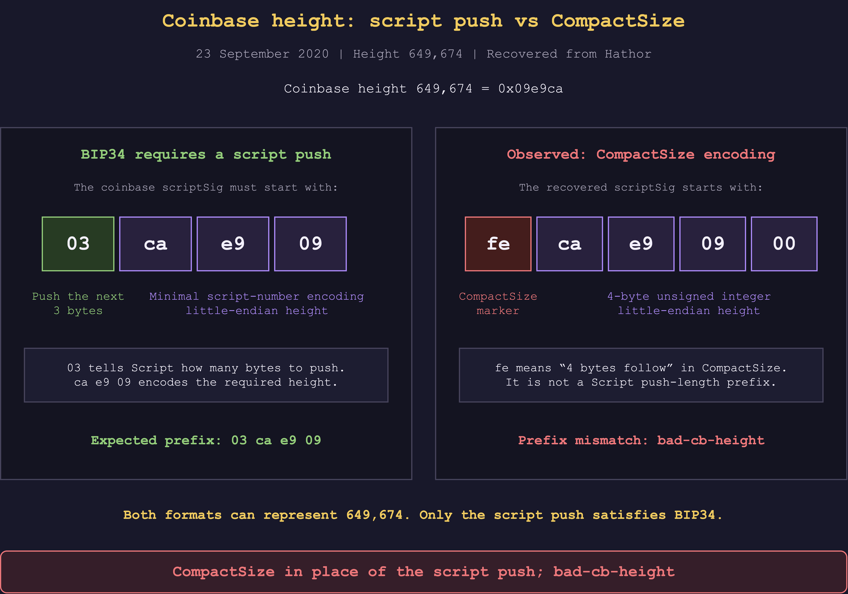 Height 649,674 as the required BIP34 script push and the observed CompactSize value. CompactSize uses a four-byte integer at this value; its marker does not supply the required script-push prefix.