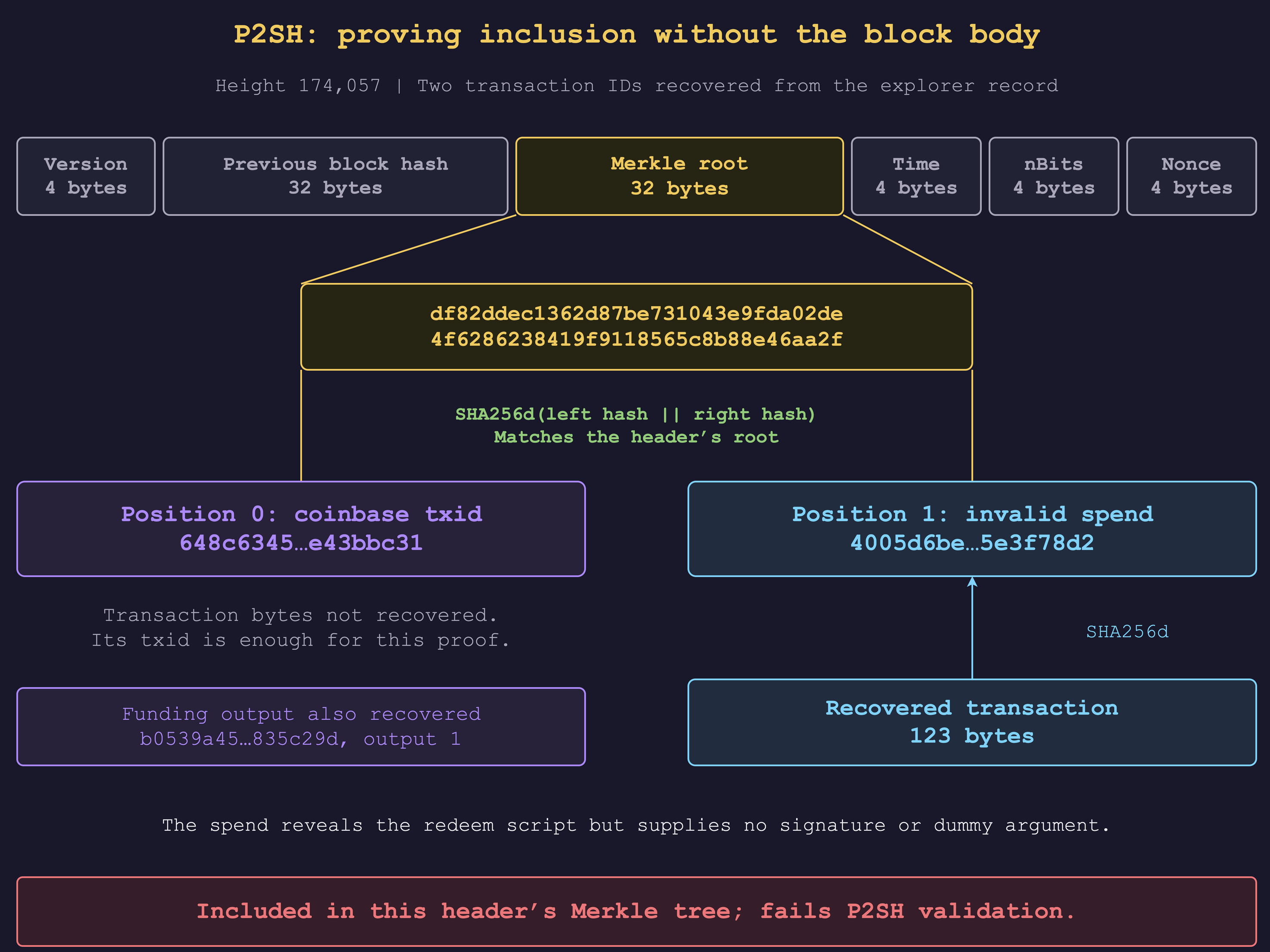 At height 174,057, the two recovered transaction IDs reproduce the preserved header's Merkle root. The recovered 123-byte spend hashes to the second txid and fails P2SH validation against its funding output; the first transaction's bytes are not needed for the inclusion proof.
